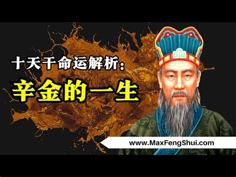 辛金個性|【辛 金】辛金命帶非凡財運！揭開天干地支辛金的神。